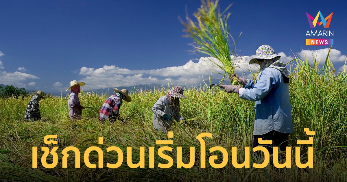 เช็กด่วน! เงินช่วยชาวนา รอบที่ 2 โอนตรงเข้าบัญชีเกษตรกร เริ่ม 18 ธ.ค.66