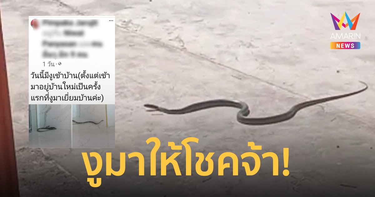 แห่ถามบ้านเลขที่! สาวฝันเห็นพญานาค 2 คืนติด รุ่งเช้าเจองูนอนอยู่ในบ้าน