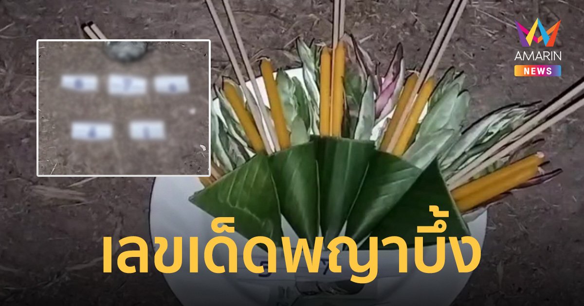 จัดเต็ม! เลขเด็ดพญาบึ้ง ส่งท้ายปีงวด 30/12/66 รอ 3 ชม.ให้ 3 ตัว 2 ตัว