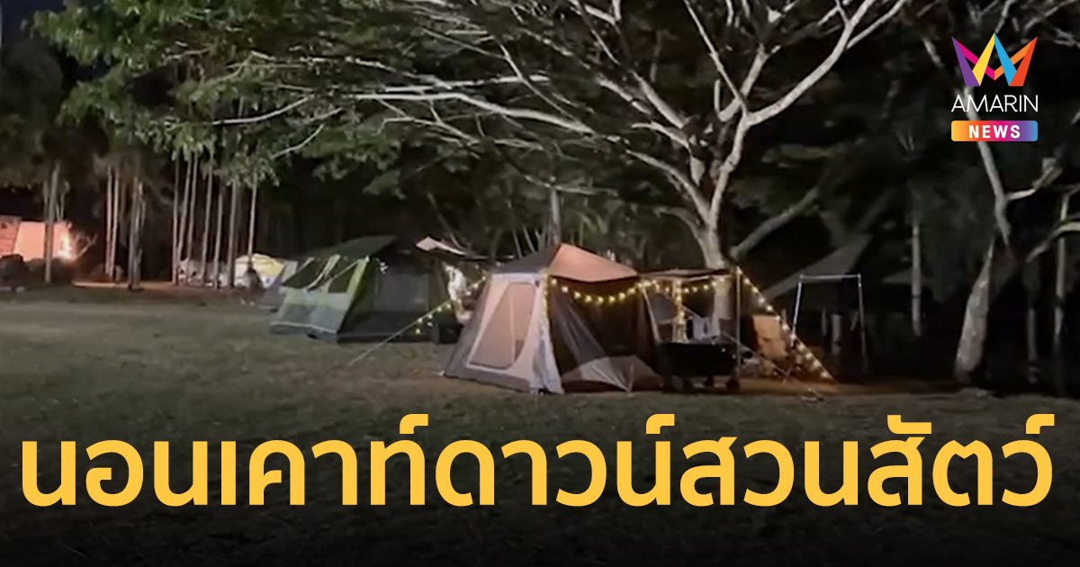 สวนสัตว์เปิดเขาเขียว ชวนนอนเต็นท์ ชมสัตว์กลางคืนฉลองเคาท์ดาวน์ 2024
