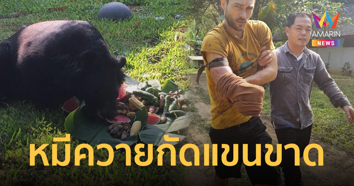 หนุ่มนักท่องเที่ยว ถูกหมีควายกัดแขนไม่ปล่อย ตัดสินใจใช้มีดฟันแขนตัวเองจนขาด
