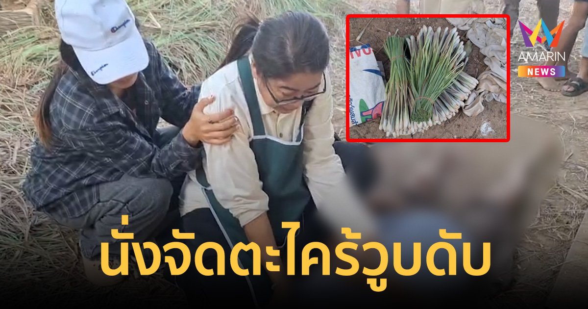 ฉ่ำยาวปีใหม่ โดนเมียบ่น ฝืนนั่งรับจ้างจัดตะไคร้ก่อนน็อกดับ