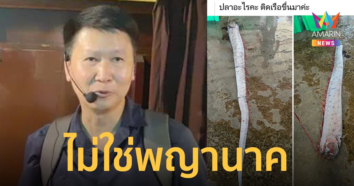 "ปลาออร์ฟิช" โผล่เหนือผิวน้ำ สัญญาณเตือนภัยพิบัติจริงหรือ?