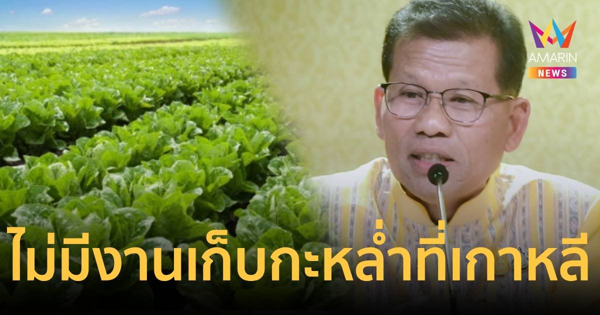 อย่าหลงเชื่อสมัครงานออนไลน์ ไปเก็บกะหล้ำปลี ที่เกาหลี
