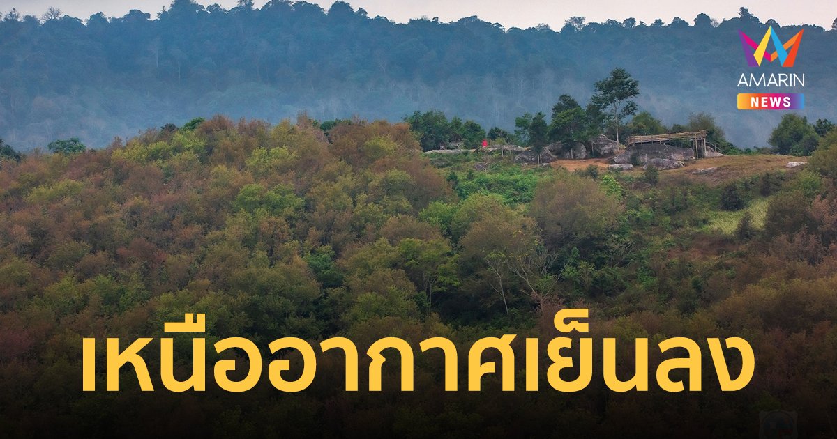 สภาพอากาศวันนี้ 1 ก.พ.67 เหนืออากาศเย็นลง อีสาน กลาง ตะวันออกร้อนขึ้น ใต้เจอฝน