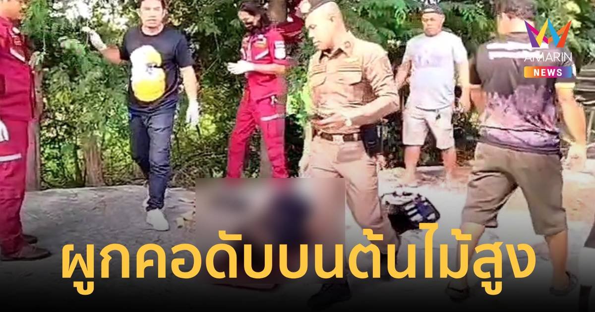 มีปากเสียงกับเมีย ผูกคอดับบนต้นไม้สูง 5 เมตร