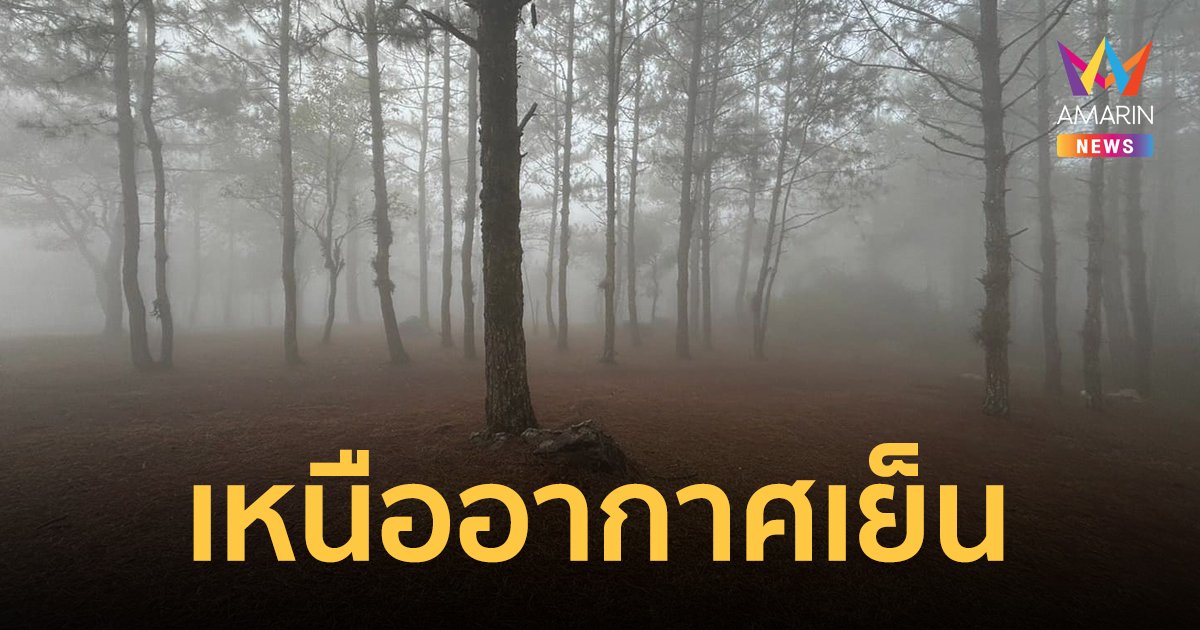 สภาพอากาศวันนี้ 2 ก.พ.67 เหนืออากาศเย็นลง อีสาน กลาง ตอ.ร้อนขึ้น แต่รู้สึกเย็นตอนเช้า