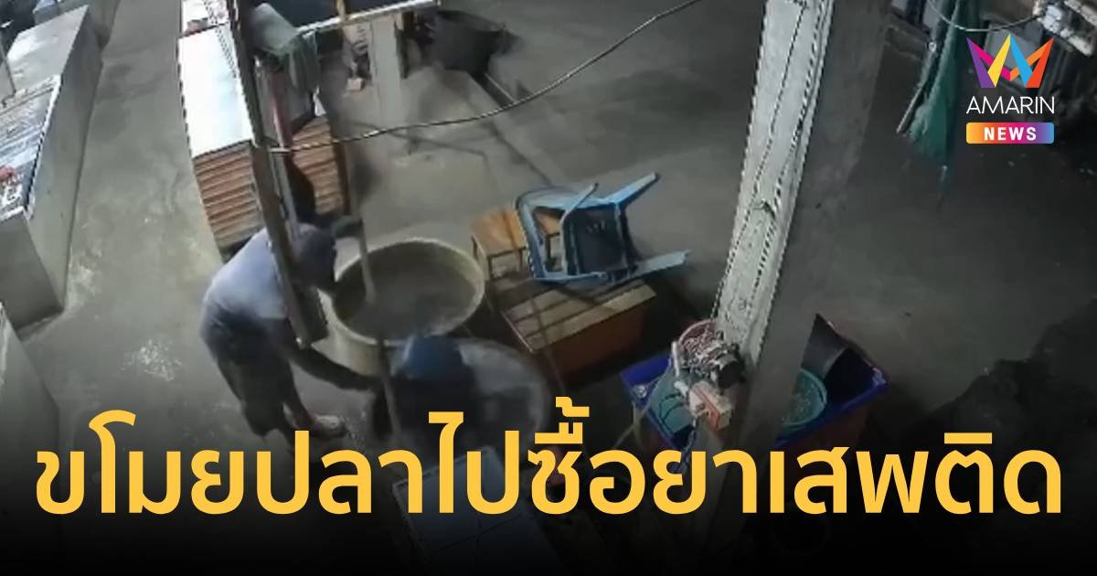 โจรขโมยปลาในตลาดสดไปขาย เอาเงินไปซื้อยามาเสพ