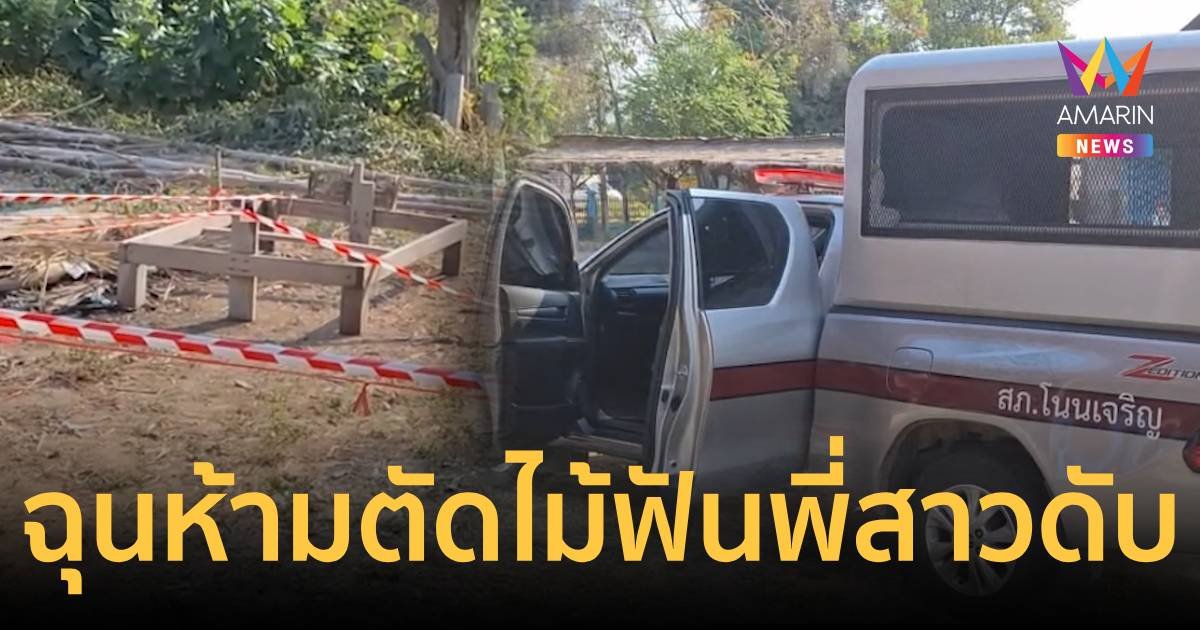 เตือนแอบตัดไม้ น้องชายฉุนคว้ามีดฟันพี่สาวดับ ชาวบ้านผวายังจับตัวไม่ได้