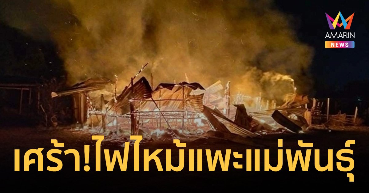 ลุงวัย 66 ฝ่าเปลวไฟเข้าไปช่วย แพะแม่พันธุ์แสนรัก ถูกไฟลวกทั้งตัว