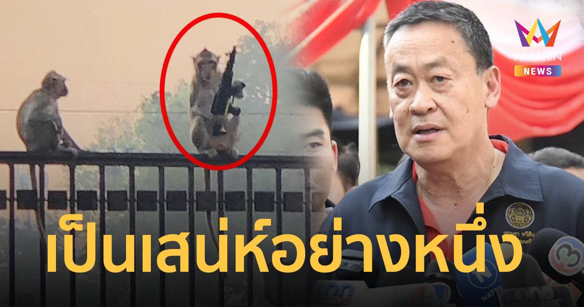 นายกฯ  บอก ลิงลพบุรี เป็นเสน่ห์-สัญลักษณ์อย่างหนึ่ง