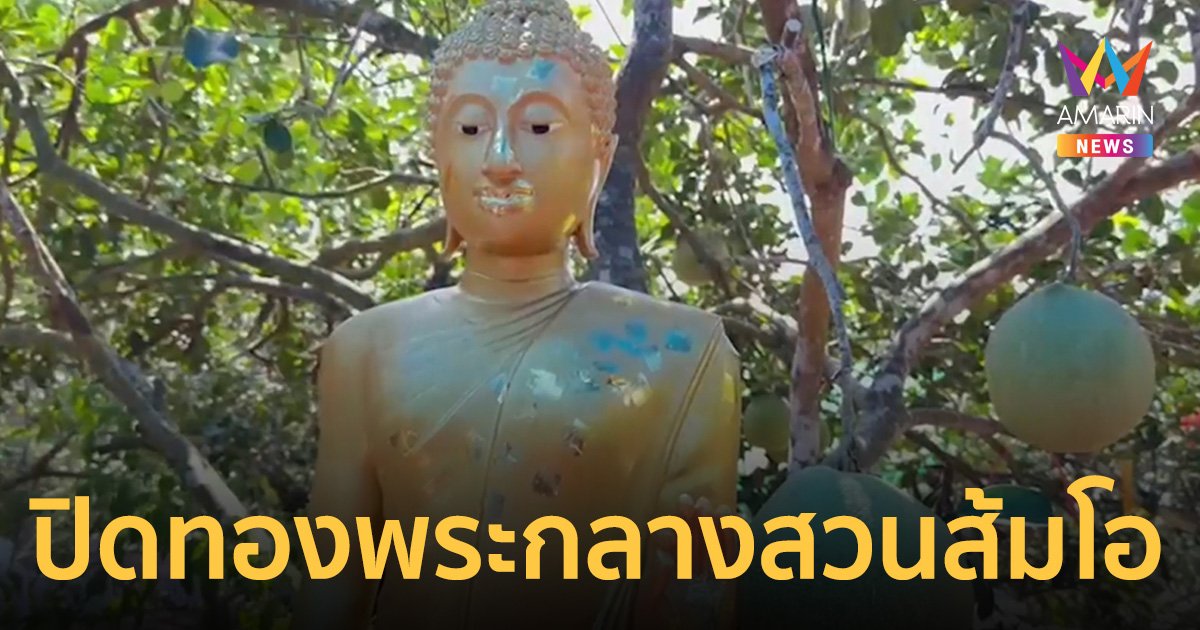 เปิดพิกัดเอาใจคอหวย! พระพุทธรูปกลางสวนส้มโอให้โชคหลายงวดติด