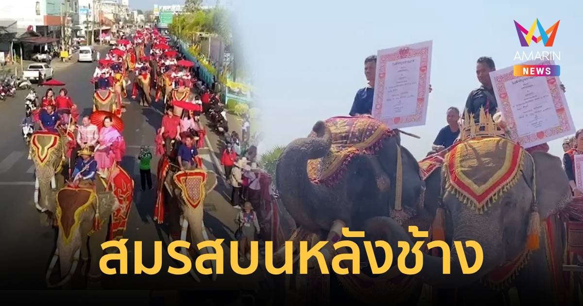 วิวาห์ช้าง หนึ่งเดียวในโลก พิธีจดทะเบียนสมรสบนหลังช้างสุดยิ่งใหญ่