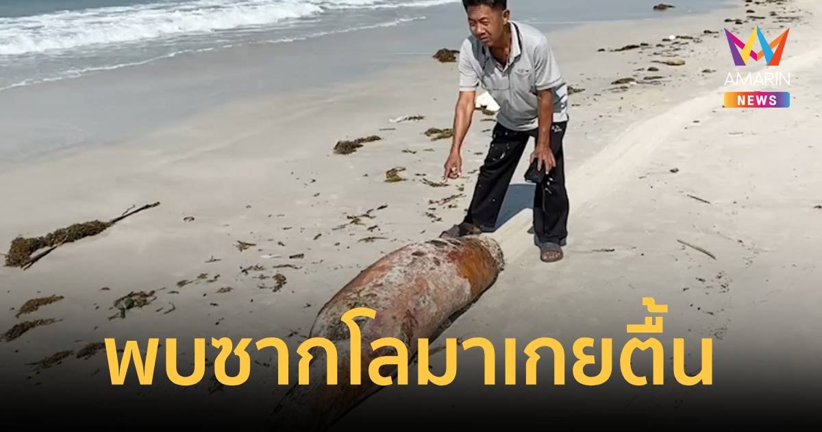 พบซากโลมาเกยตื้น เน่าส่งกลิ่นเหม็น ตายที่หาดบานชื่น จ.ตราด