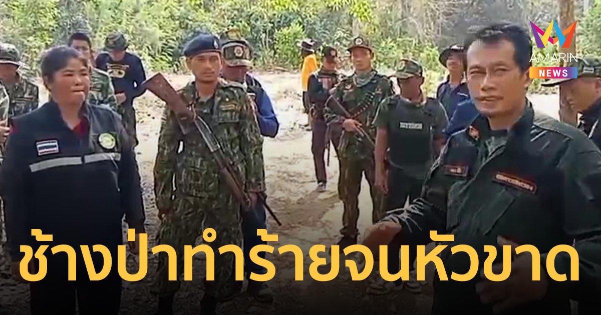 สุดสลด!! ช้างป่าอ่างฤาไน ทำร้ายคนกลางป่า จนหัวขาดหาย