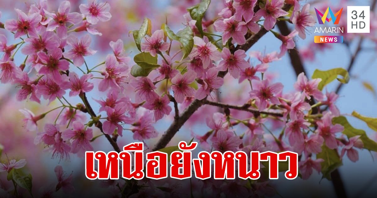 สภาพอากาศวันนี้ 16 ก.พ.67 เหนือยังเย็นถึงหนาว กทม.ร้อน มีฝนตกบางพื้นที่