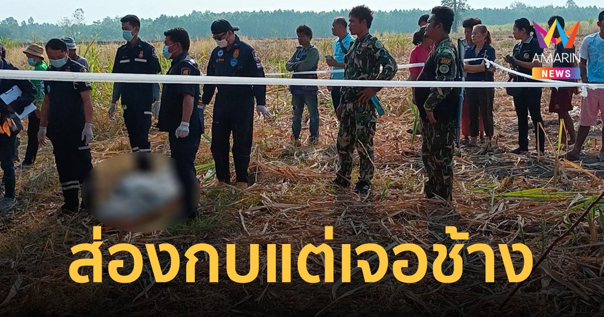 หนุ่มวัย 42 ปี ไปส่องกบ แต่เจอช้าง ดวงกุดโดนตื๊บจนร่างเละ
