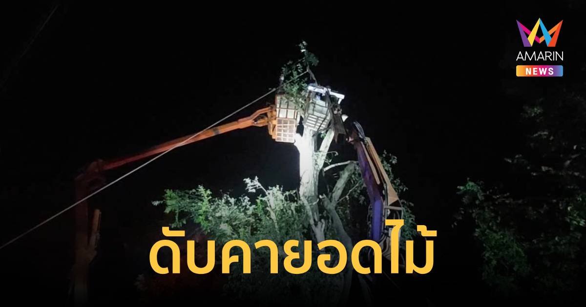 หนุ่มใหญ่รับจ้างตัดต้นไม้ โดนกิ่งไม้กระแทกถูกเลื่อยยนต์ดับคายอดไม้