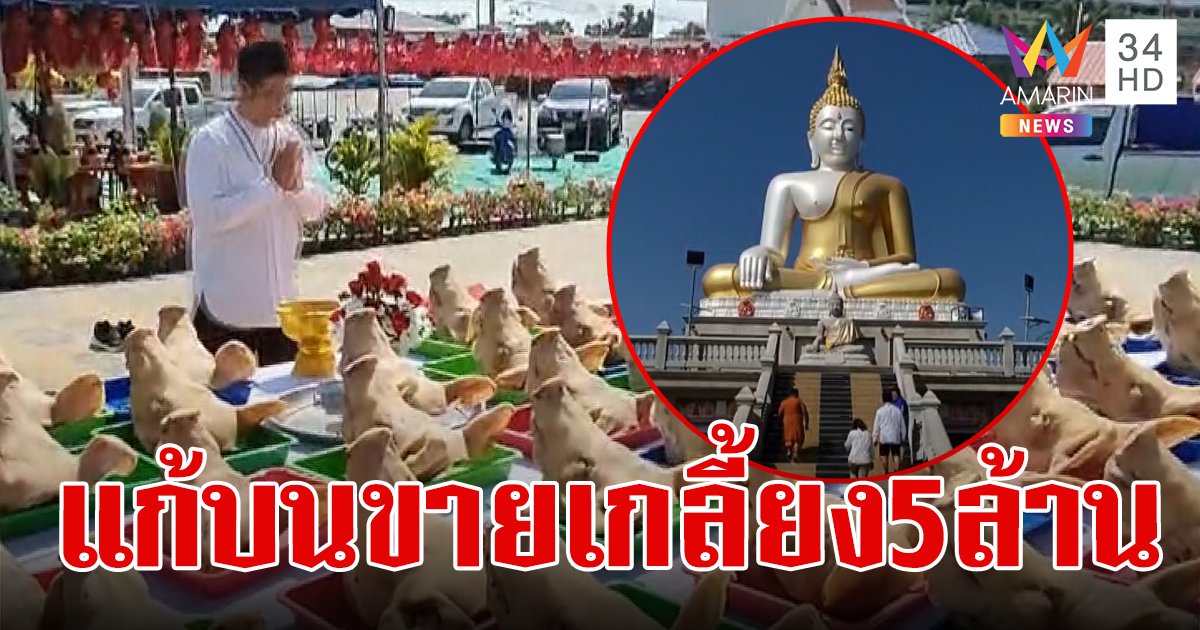 พ่อค้าลอตเตอรี่ขนหัวหมู 50 หัว แก้บนหลวงพ่อใหญ่-ท้าวเวสสุวรรณ หลังอธิษฐานให้ขายหมด 5 ล้าน