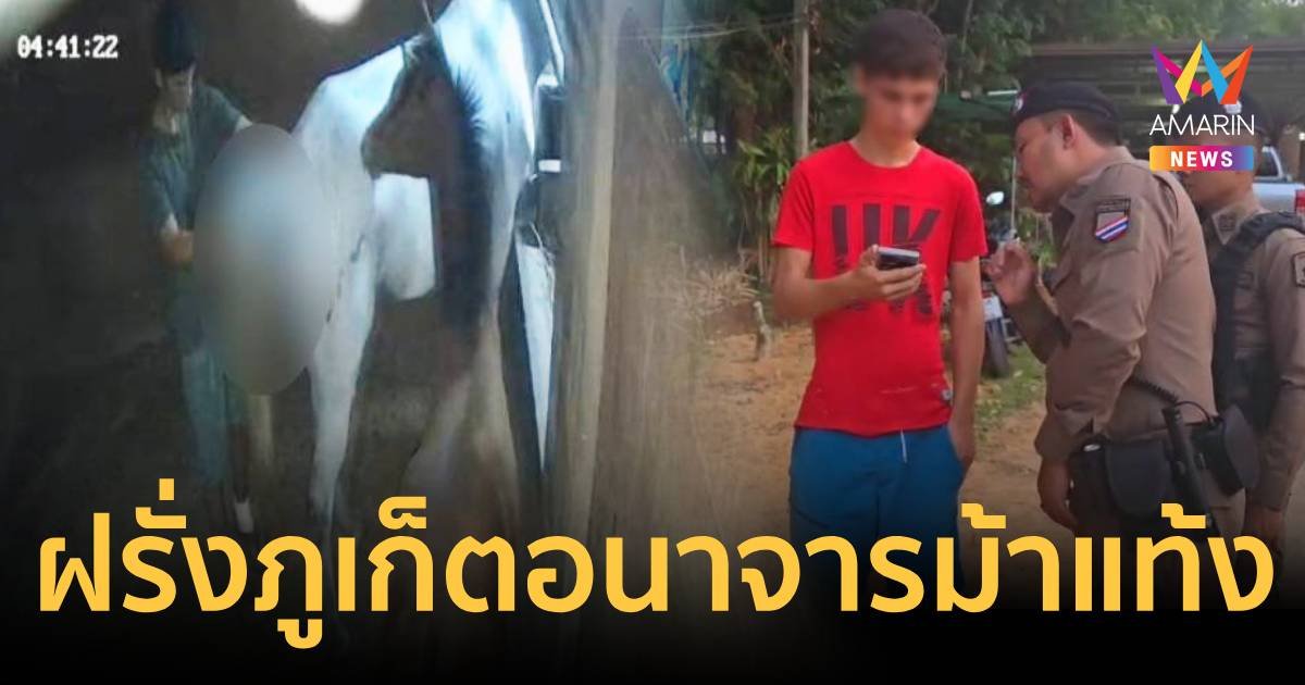 วิตถาร หนุ่มสหรัฐ 19 ปี อนาจารม้าท้องแก่จนแท้งลูก 2 ตัว