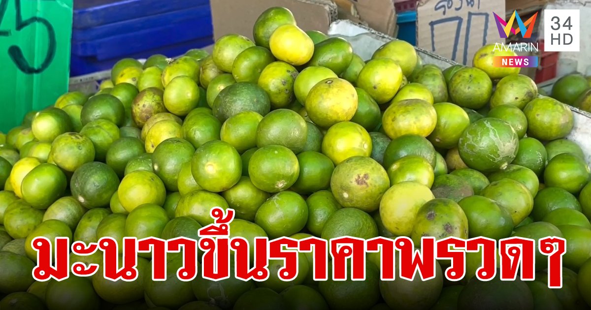 หน้าร้อนมะนาวแพง! แม่ค้าโอด ชาวบ้านครวญ ขึ้นราคาวันละ 5 บาทต่อกิโลกรัม