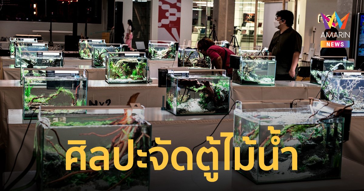 งานไม้น้ำ จากศิลปินนักจัดตู้ไม้น้ำชาวไทยฝีมือระดับโลก จำลองภูมิทัศน์บนบกผสมโลกแห่งจินตนาการ
