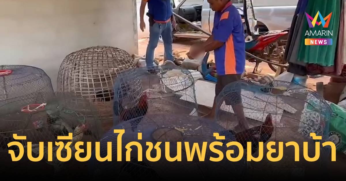 บุกจับเซียนชนไก่ พร้อมของกลางยาบ้า 180 เม็ด