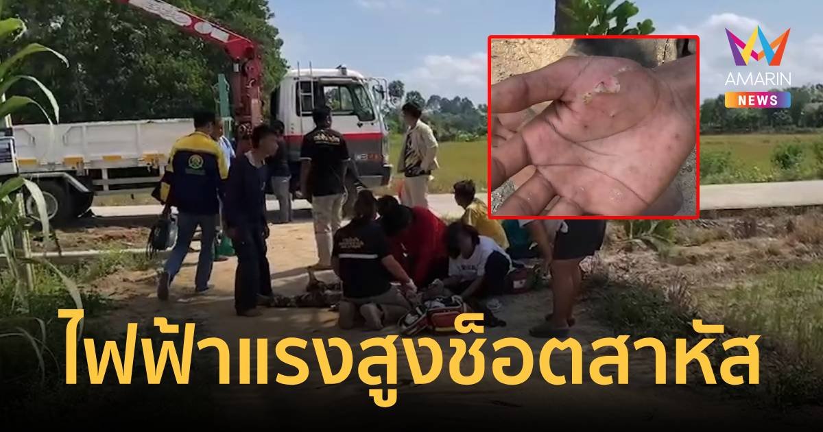 5 ชีวิตระทึก ไฟฟ้าแรงสูงช็อตหมดสติ 1   ขณะประคองเสาไฟลงหลุม