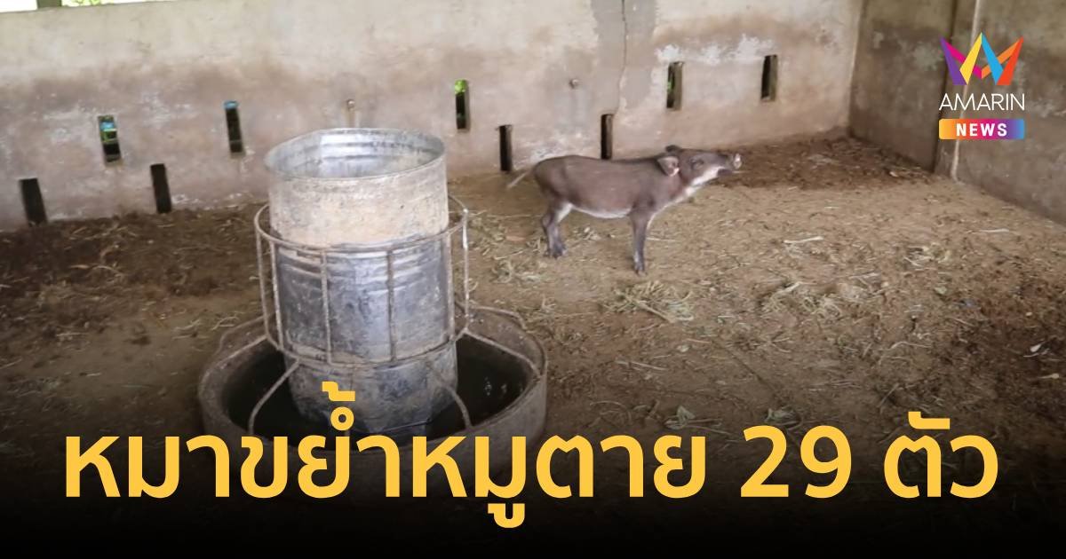 เจ้าของสุดทน! หมากัดหมูตาย 29 ตัว 3 คืนรวด