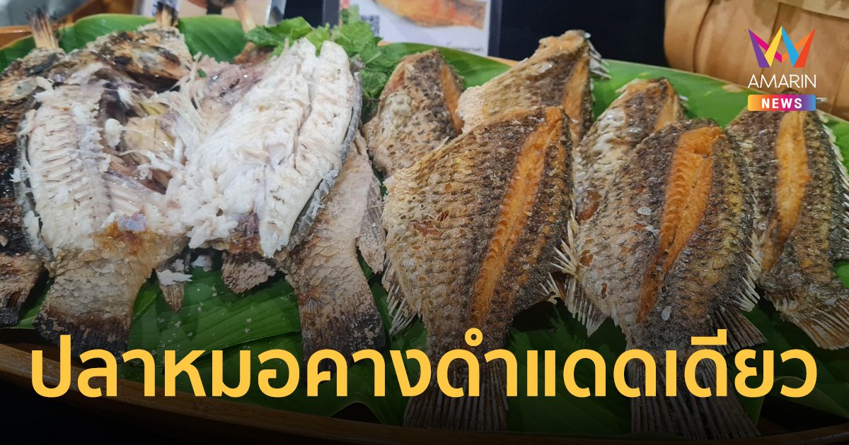 ช่วยกันจับ ช่วยกันกิน ปลาหมอคางดำ : เปิดสูตรเมนูเด็ด ปลาหมอคางดำแดดเดียว