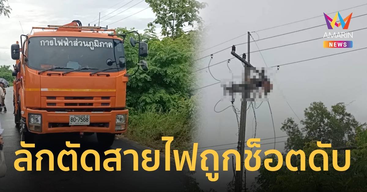 หนุ่มขโมยตัดสายไฟฟ้ากลางดึก ไฟช็อตดับห้อยอยู่บนยอดเสา