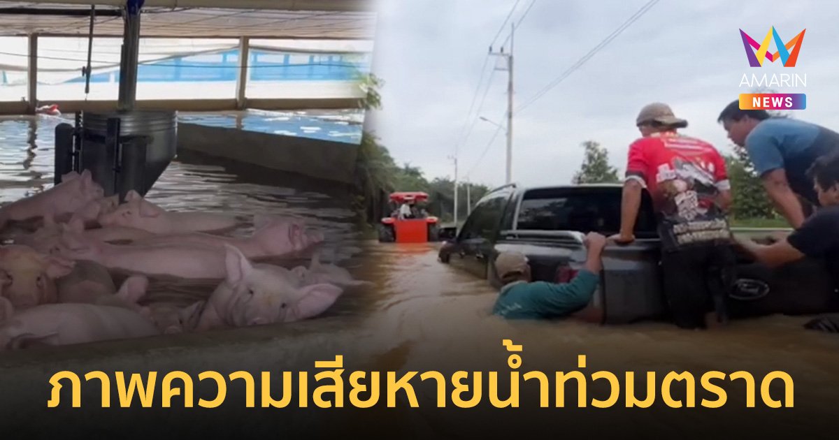 ประมวลเหตุการณ์ "น้ำท่วมตราด" สาเหตุเกิดจากอะไร เปิดภาพความเสียหาย คนทุกข์ระทม สัตว์น่าเวทนา