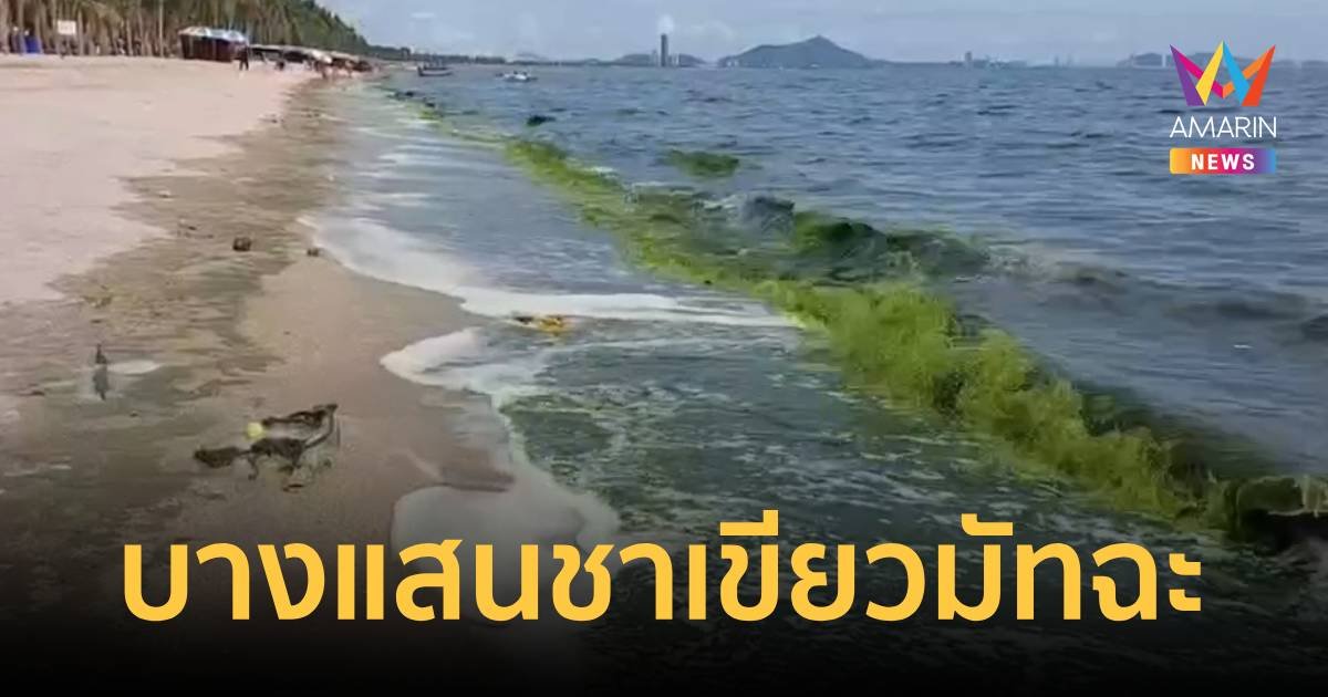 ทะเลบางแสน กลายเป็นชาเขียวมัทฉะ นทท.เซ็งอดเล่นน้ำ
