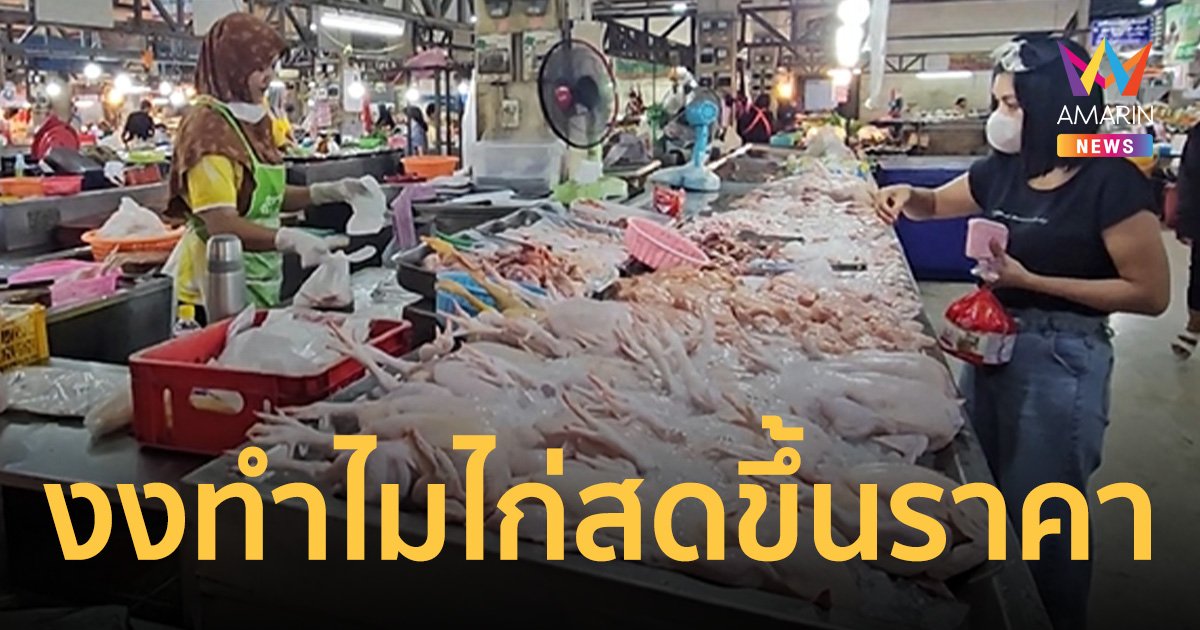 ไก่สดขึ้นราคา! จี้ กระทรวงพาณิชย์หาคำตอบ สินค้าขึ้นราคาอย่างไร้เหตุผล