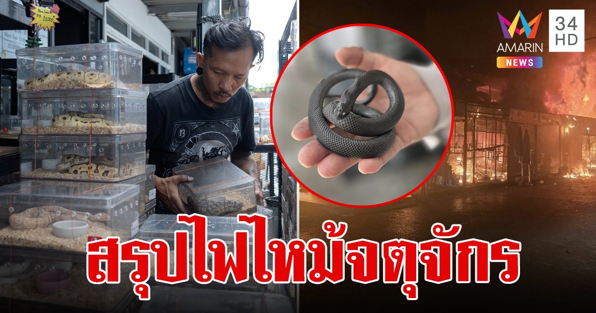 สรุปจบ ไฟไหม้จตุจักร ร้านค้าเสียหายยับ สัตว์นับพันตัวสังเวยชีวิตในกองเพลิง