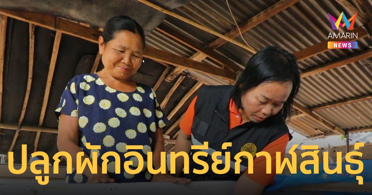 ส.ป.ก.กาฬสินธุ์ ส่งเสริมเกษตรกรปลูกผักอินทรีย์ พัฒนาแหล่งน้ำ พร้อมสร้างความเข้มแข็งแก่ชุมชน