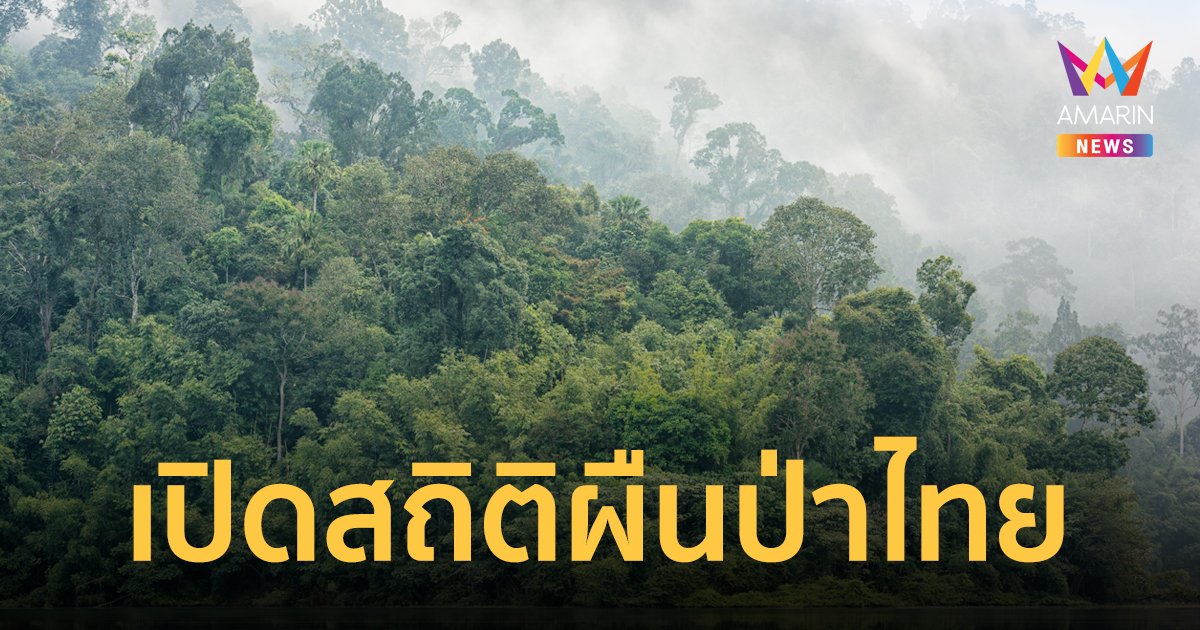 เปิดสถิติพื้นที่สีเขียวเมืองไทย หากเฉือนป่าทับลาน 2.6 แสนไร่ จะเหลือผืนป่าเท่าไหร่