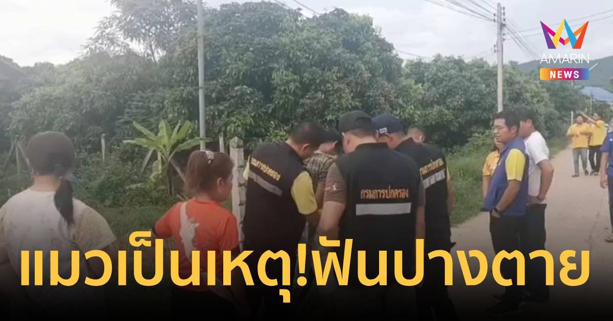 แมวเป็นเหตุ! เพื่อนบ้านฟันกันปางตาย