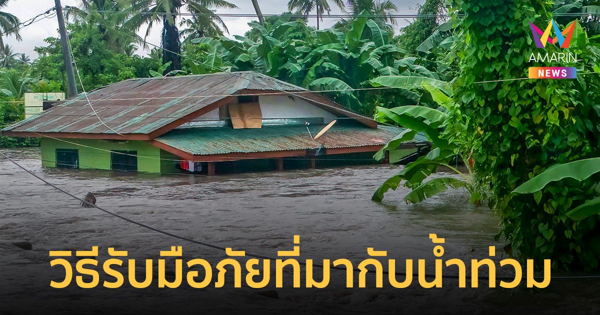 อันตรายที่มากับน้ำท่วม สัตว์มีพิษ ไฟช็อต จมน้ำ แนะวิธีรับมือ-ปฐมพยาบาล