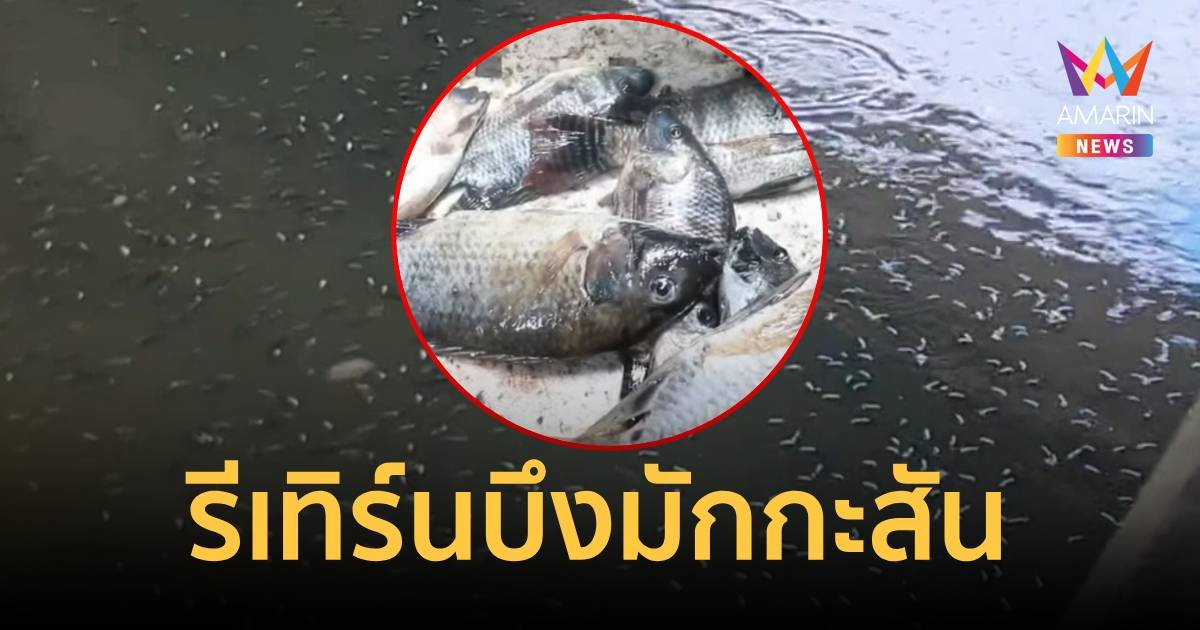 บึงมักกะสัน "คางดำ รีเทิร์น" เยอะกว่าเดิม เป็นเท่าตัว