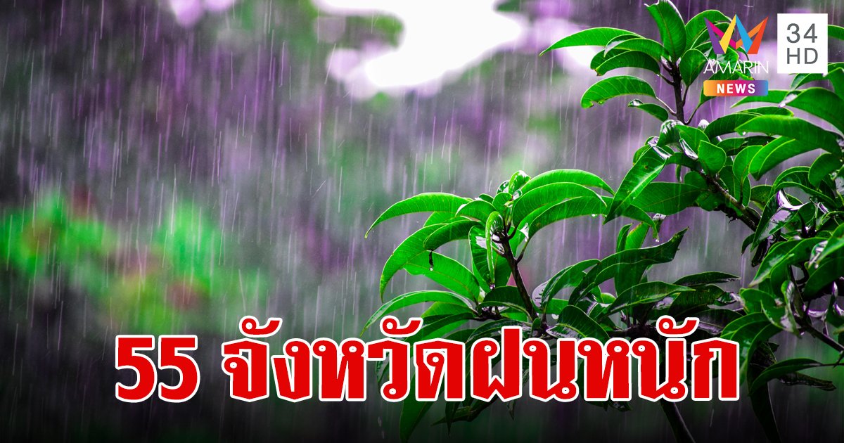 สภาพอากาศวันนี้ 29 ส.ค.67 ทั่วไทยเจอฝน เตือน 55 จังหวัดรับมือฝนหนักถึงหนักมาก