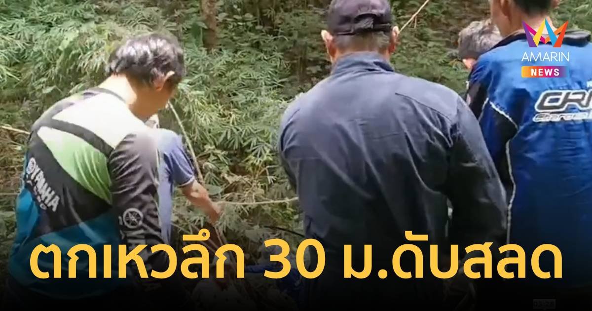 ตาวัย 60 ขี่รถออกไปหาหน่อไม้ พลัดตกเหวดับอนาถ