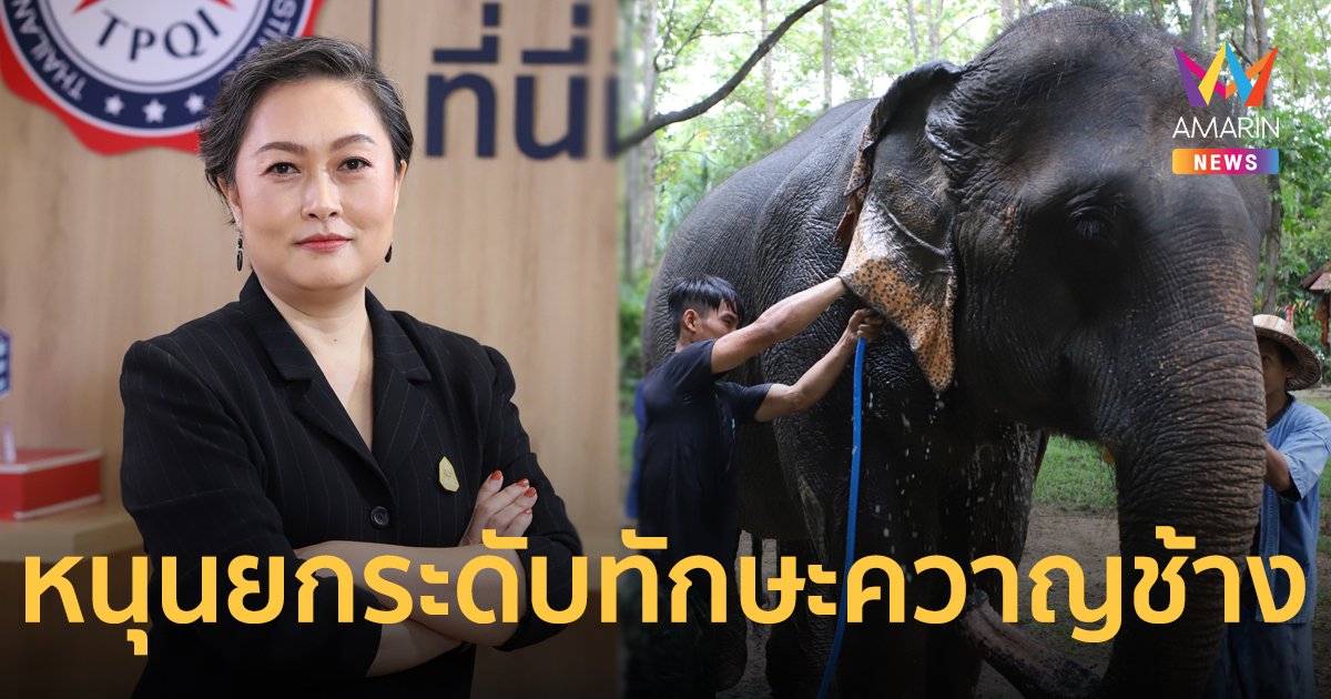 สคช. หนุนยกระดับทักษะควาญช้างตามมาตรฐานอาชีพ รับมือเหตุการณ์วิกฤต