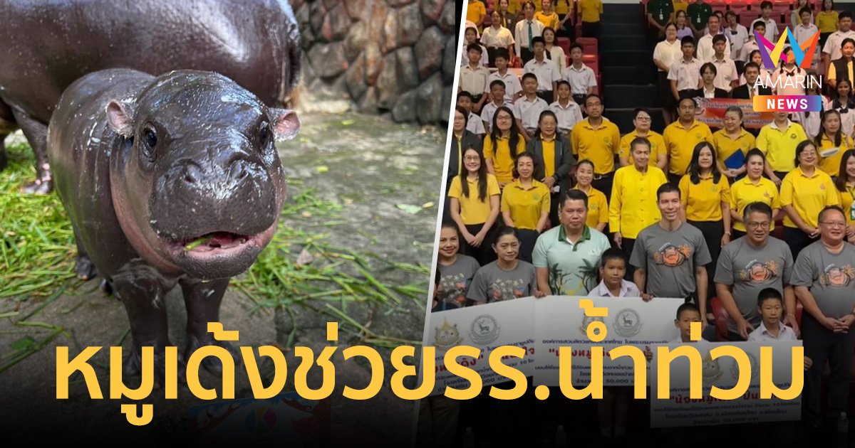 "น้องหมูเด้ง ปันน้ำใจ" มอบเงิน 5 แสนจากแฟนคลับ ช่วยโรงเรียนน้ำท่วมเชียงใหม่