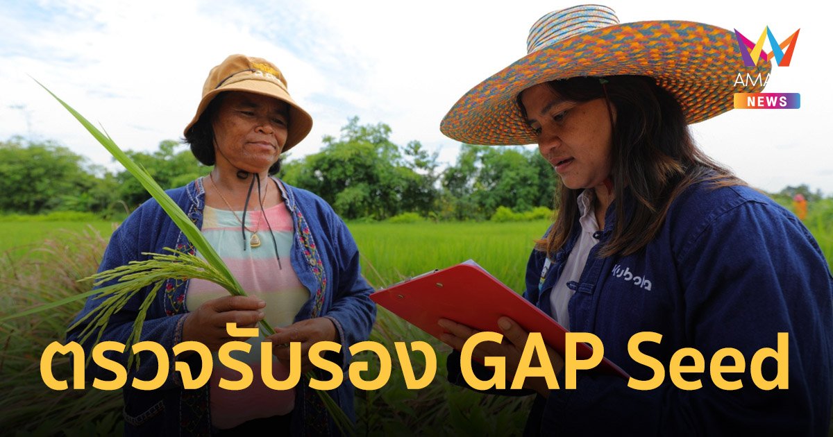 ศูนย์เมล็ดพันธุ์ข้าวตรวจรับรอง GAP Seed ให้เกษตรกรในจังหวัดศรีสะเกษ