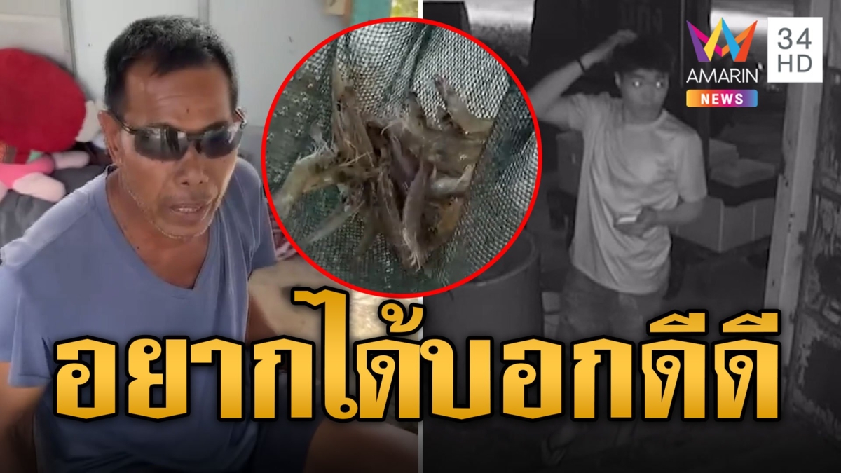 เจ้าของบ่อเดือด โจรหนุ่มยืนเกาหัวก่อนลักกุ้งตัว 2 บาท