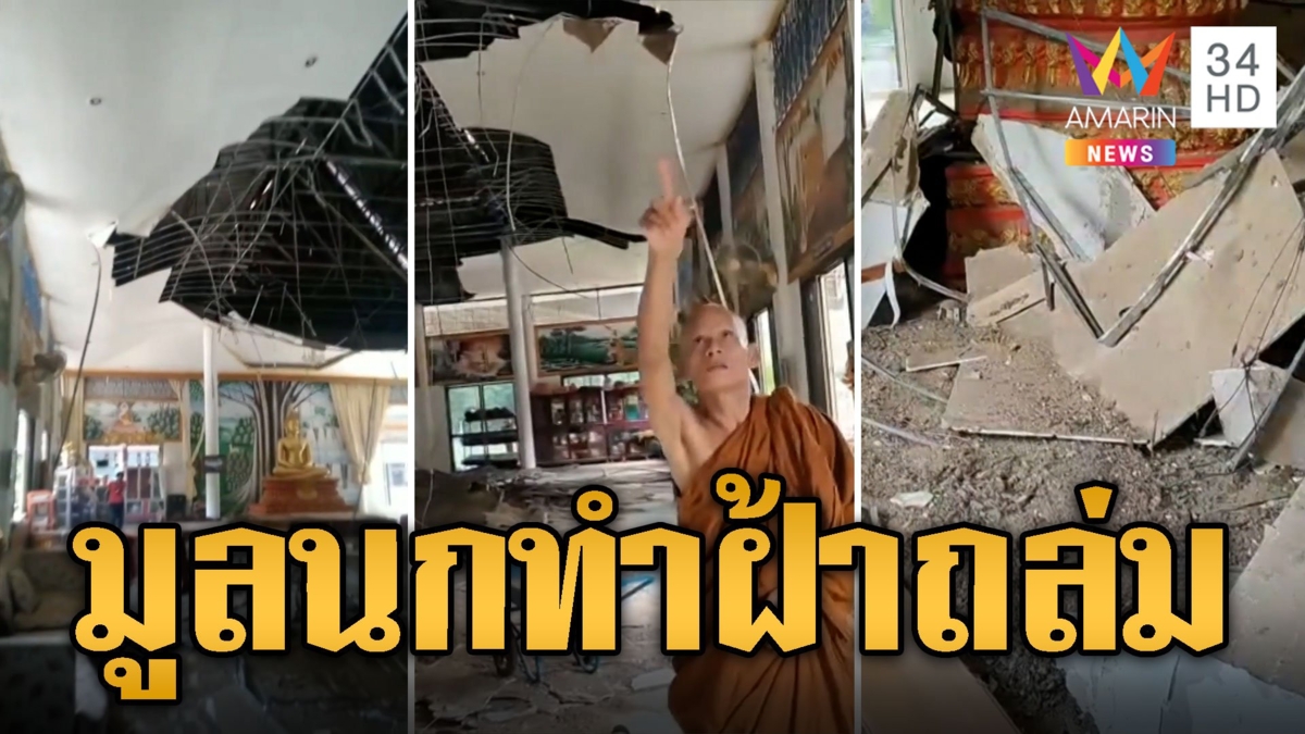 หวิดตายหมู่! มูลนกพิราบทำฝ้าศาลาวัดถล่ม พระ-โยมวิ่งหนีวุ่น