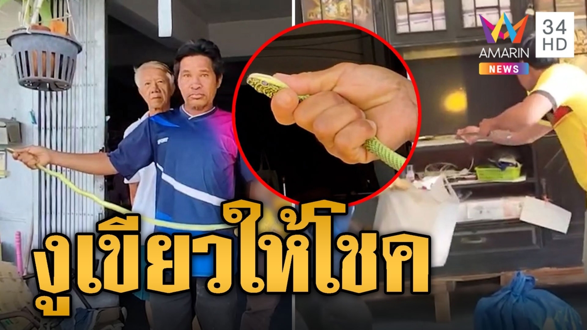 ไวดุจสายฟ้า งูเขียว เลื้อยหลบหลังตู้ ตาเชื่อมาให้โชค