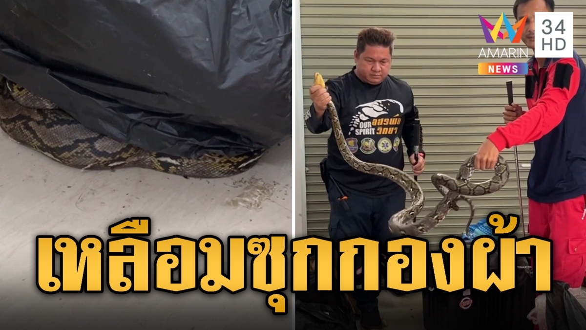 เหลือมแสบบุกบ้าน ซุกกองผ้าสาวเจอกรี๊ดลั่น