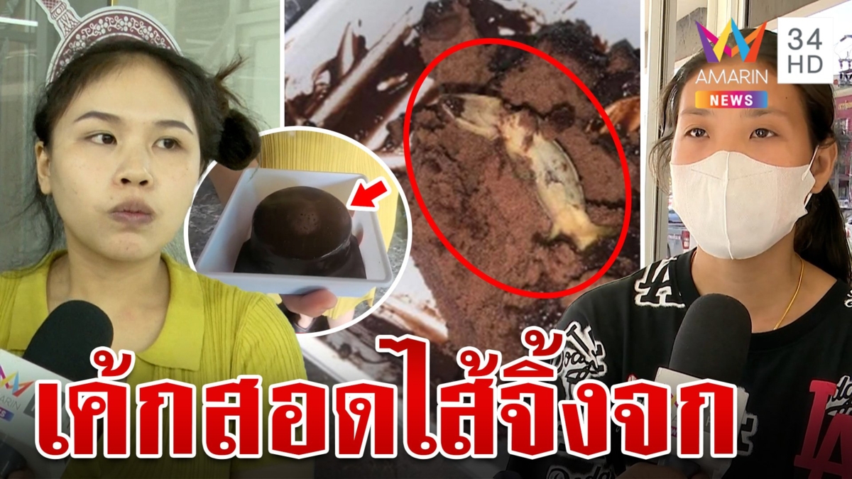 อ้วกแทบพุ่ง! จิ้งจกยัดไส้เค้กช็อกโกแลต ลั่นไม่ได้ดิสเครดิต